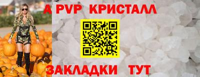 СК Новодвинск