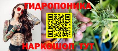 СК Новодвинск