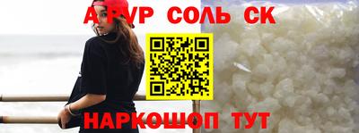 СК Новодвинск