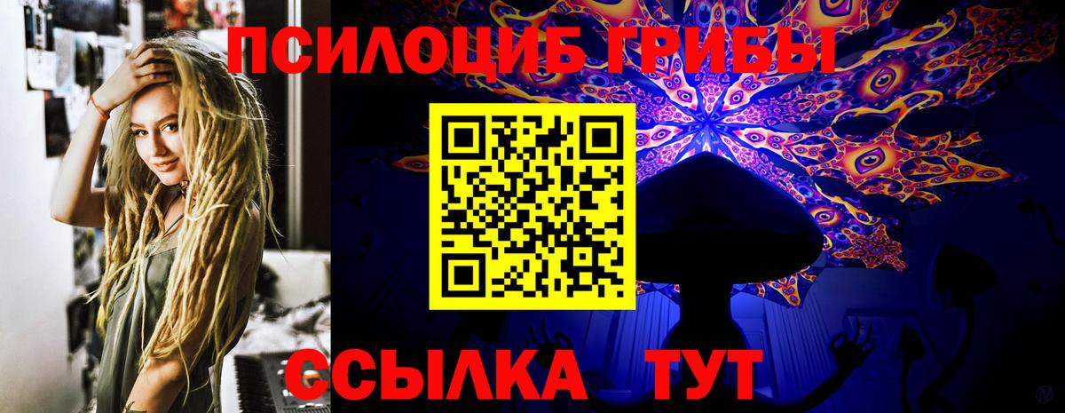 где продают наркотики  Псилоцибиновые грибы Magic Shrooms  Вход с VPN  Троицк 